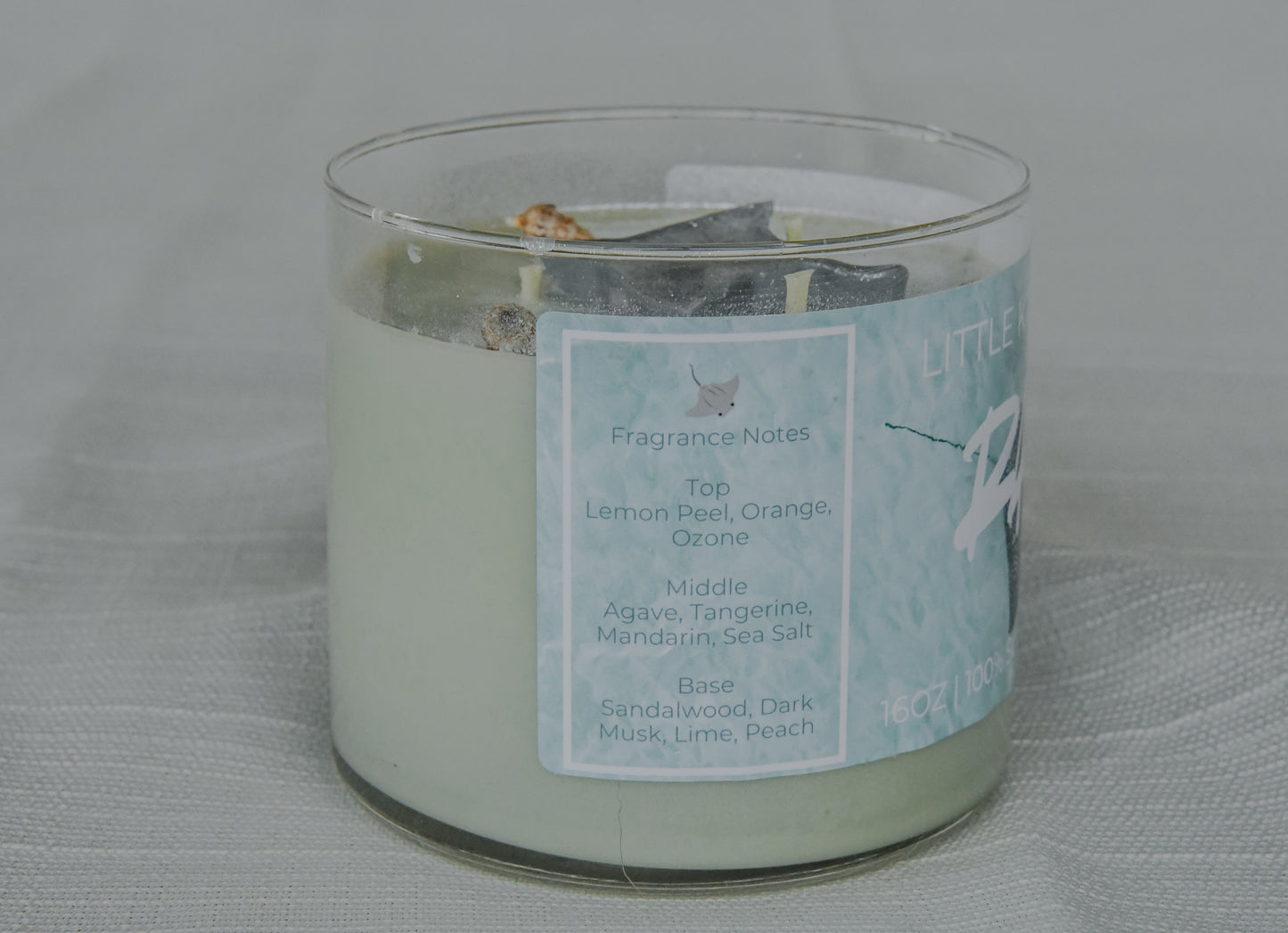 Rays Citrus Agave and Sea Candle
