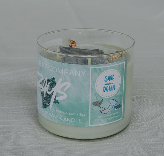 Rays Citrus Agave and Sea Candle