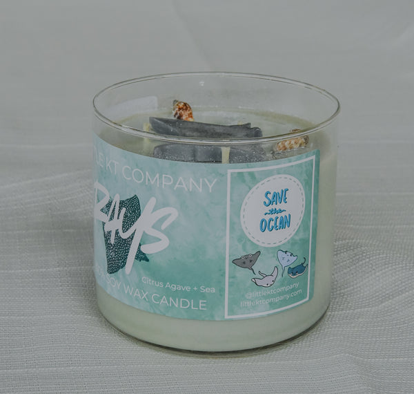 Rays Citrus Agave and Sea Candle