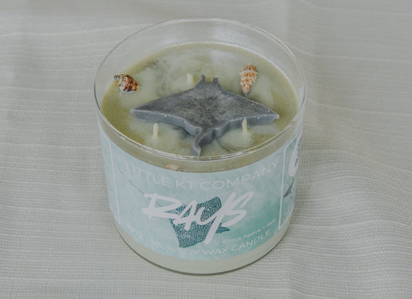 Rays Citrus Agave and Sea Candle