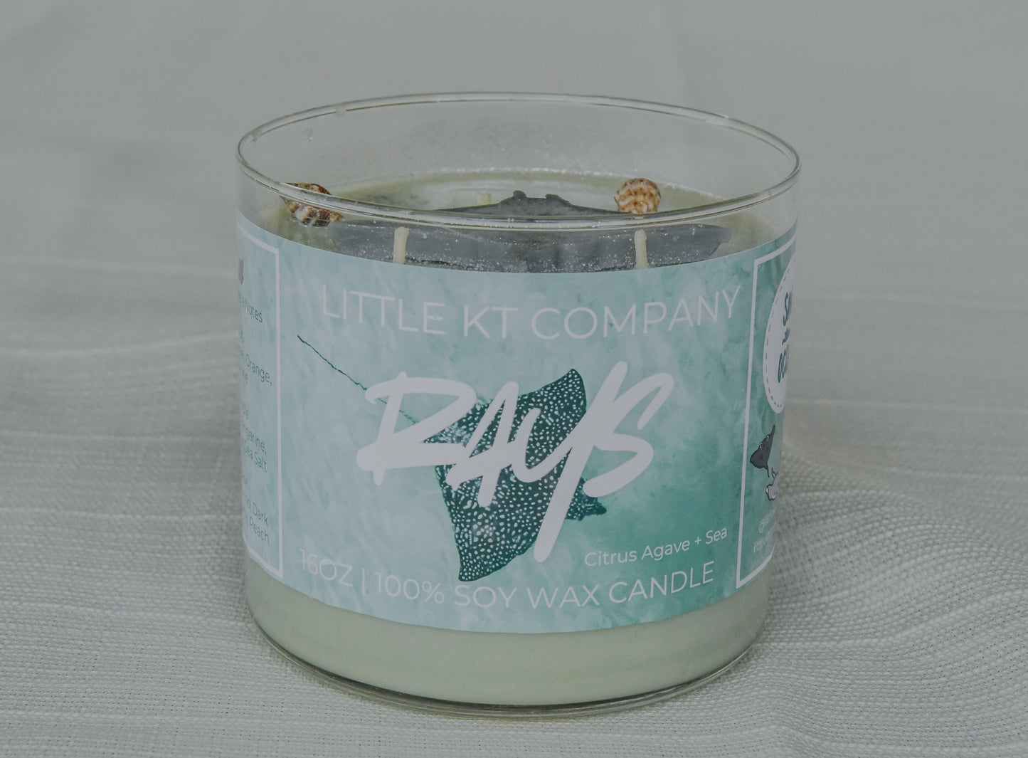 Rays Citrus Agave and Sea Candle