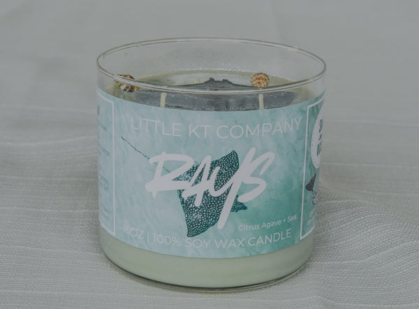 Rays Citrus Agave and Sea Candle