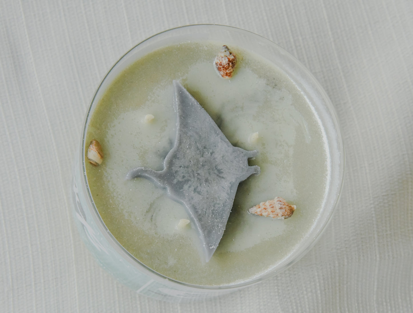 Rays Citrus Agave and Sea Candle