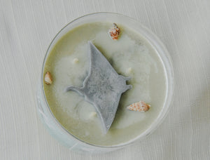 Rays Citrus Agave and Sea Candle