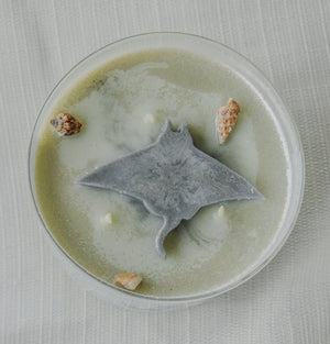 Rays Citrus Agave and Sea Candle