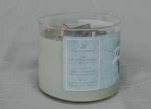 Rays Citrus Agave and Sea Candle