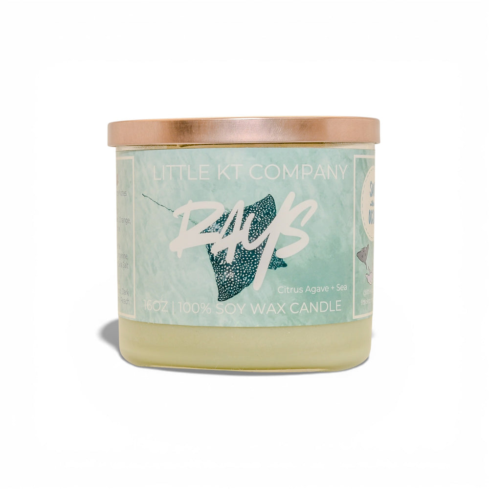 Rays Citrus Agave and Sea Candle