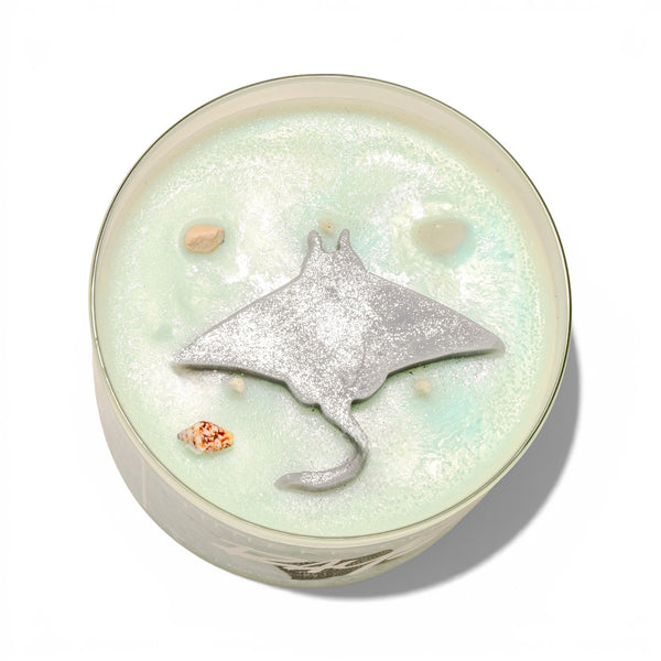 Rays Citrus Agave and Sea Candle